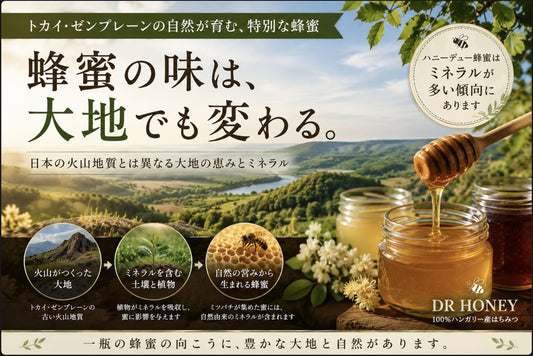 日本とは違う大地が育てる蜂蜜｜トカイ・ゼンプレーンの地質とDR HONEYの秘密
