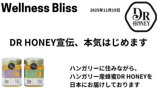 🍯【DR HONEY宣伝、本気はじめます】