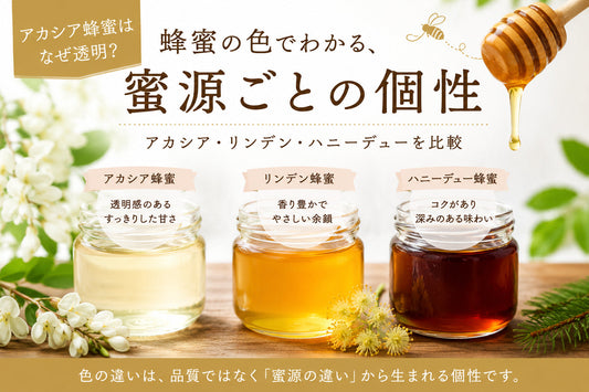 アカシア蜂蜜はなぜ透明？蜂蜜の色でわかる、蜜源ごとの個性